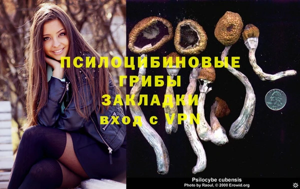 ALPHA PVP Аркадак