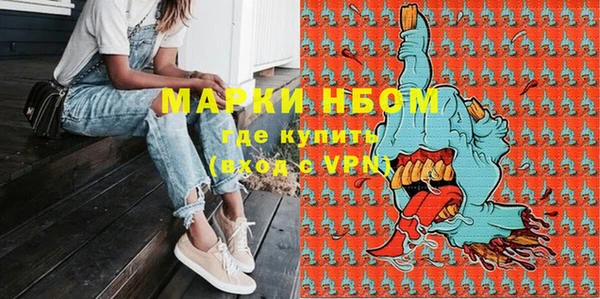 стаф Арсеньев