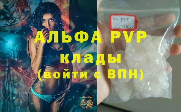стаф Арсеньев