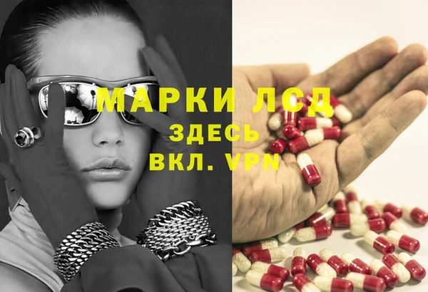 стаф Арсеньев