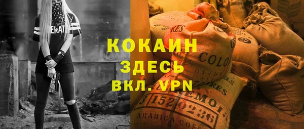 стаф Арсеньев
